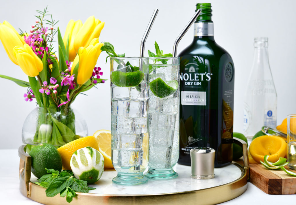 Southside Fizz NOLET’S Gin